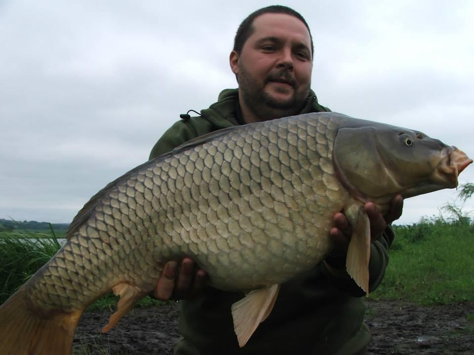 Lates iunie 2013 - 10113215931967274141991291161910n.jpg